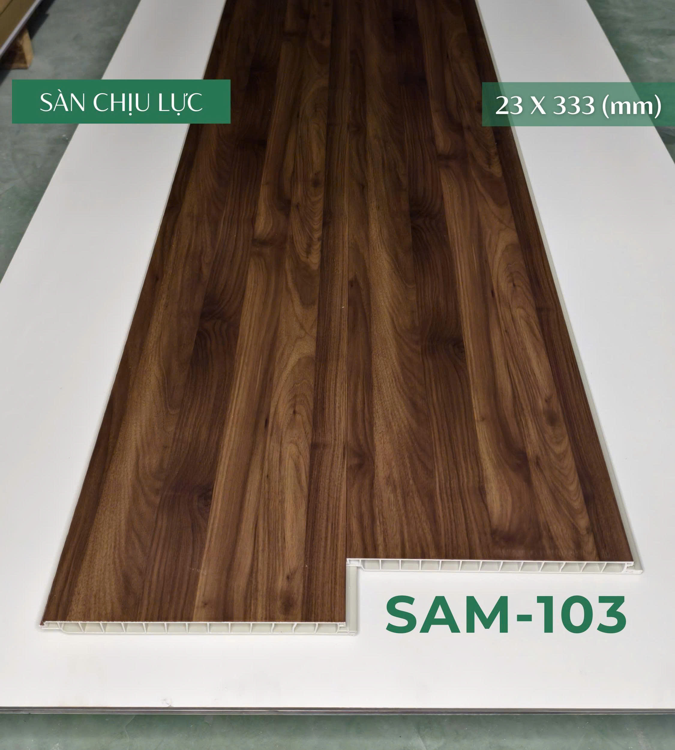 san_chiu-luc_sam_103