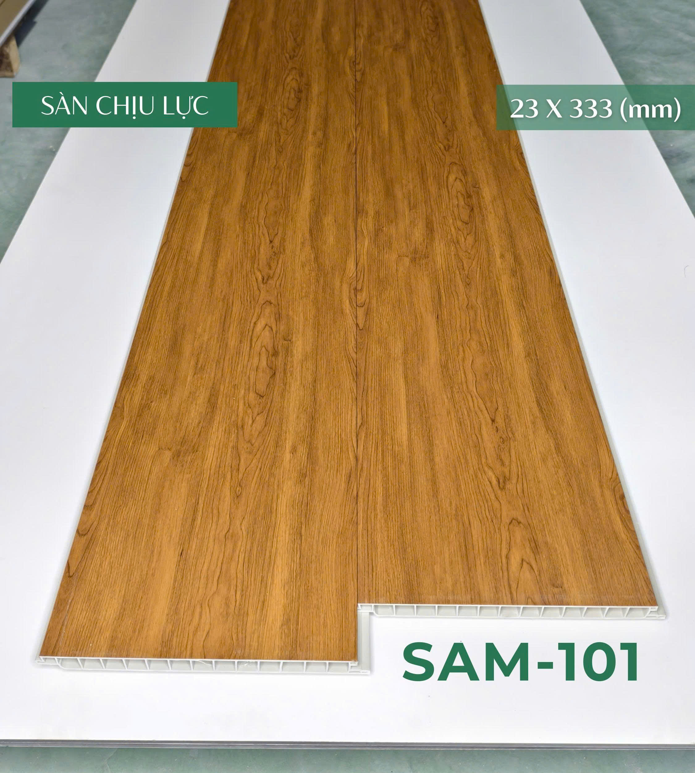 san_chiu_luc_sam_101