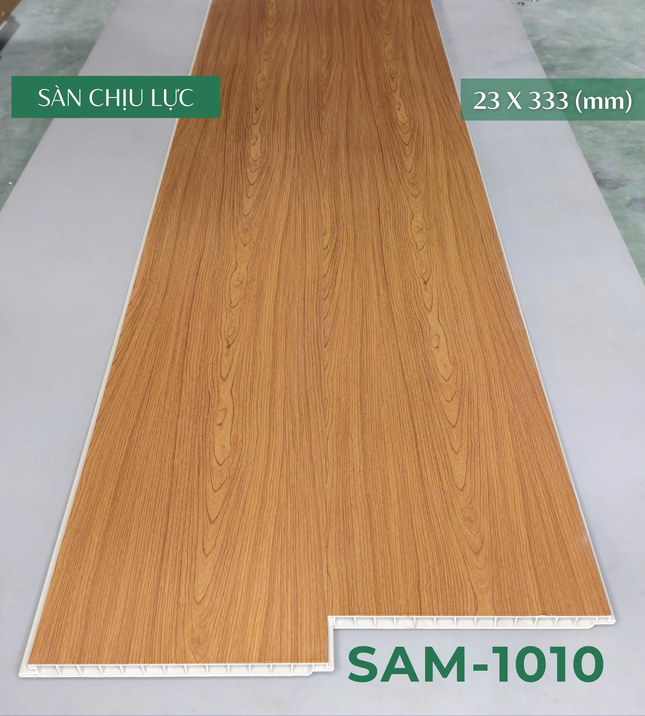 san_chiu_luc_sam_1010