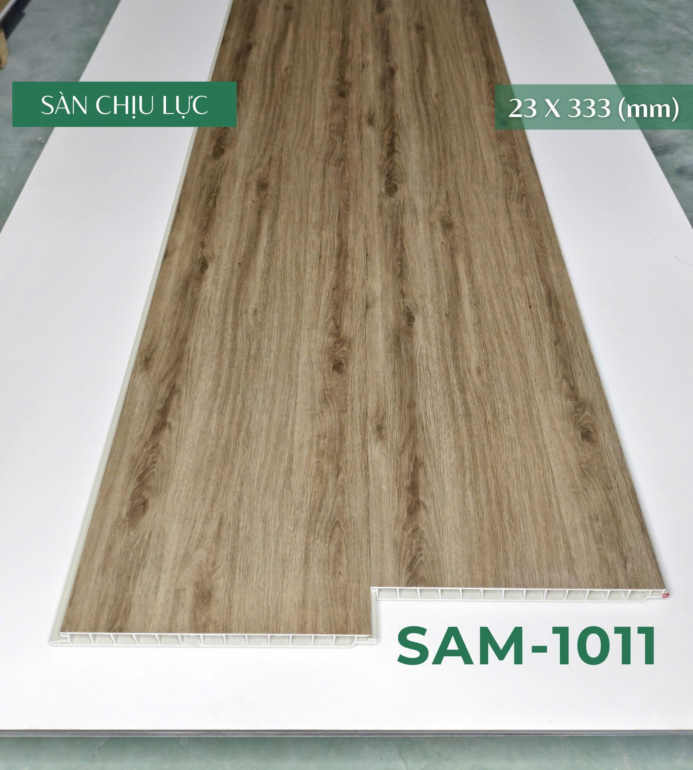 san_chiu_luc_sam_1011