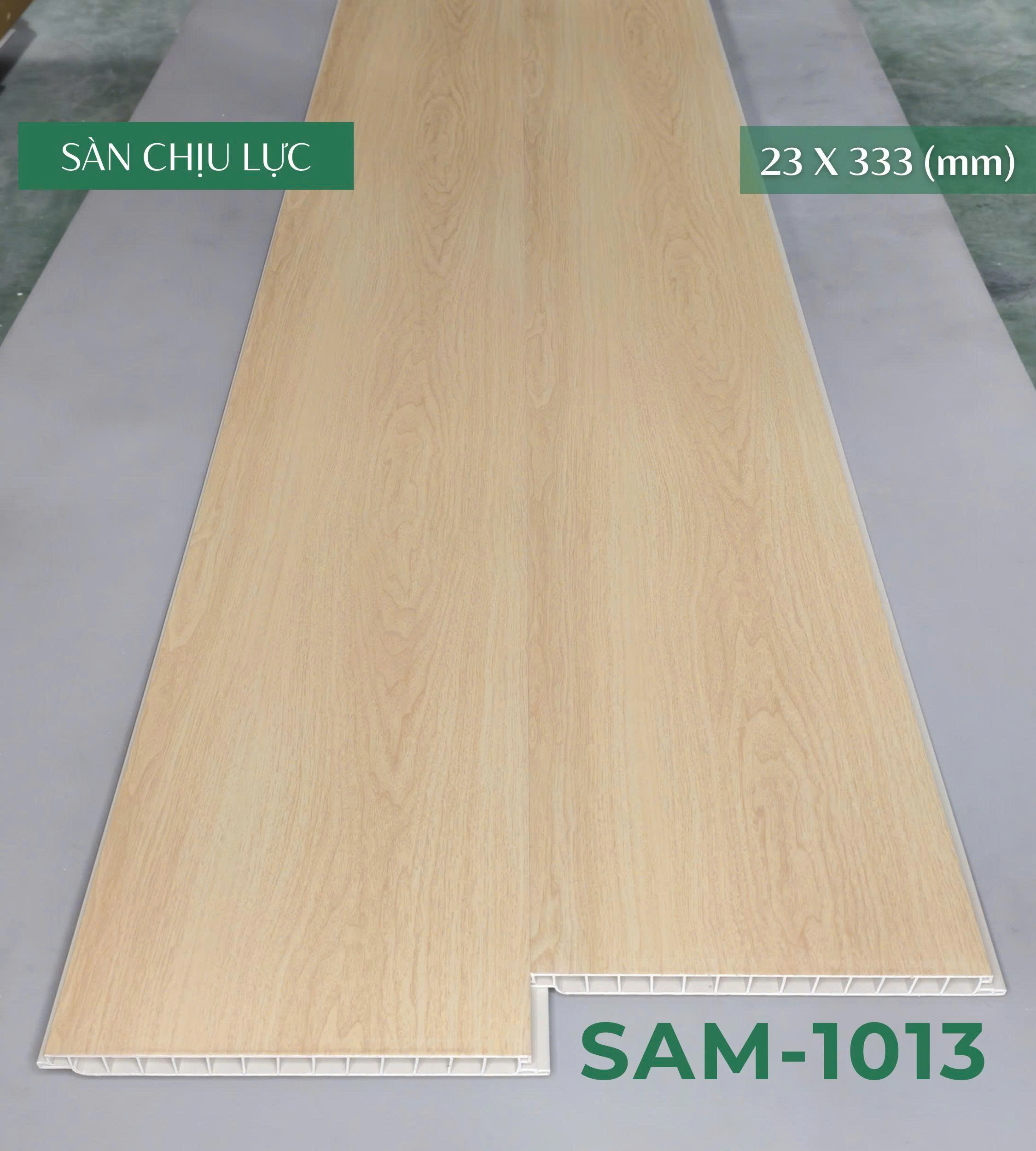 san_chiu_luc_sam_1013