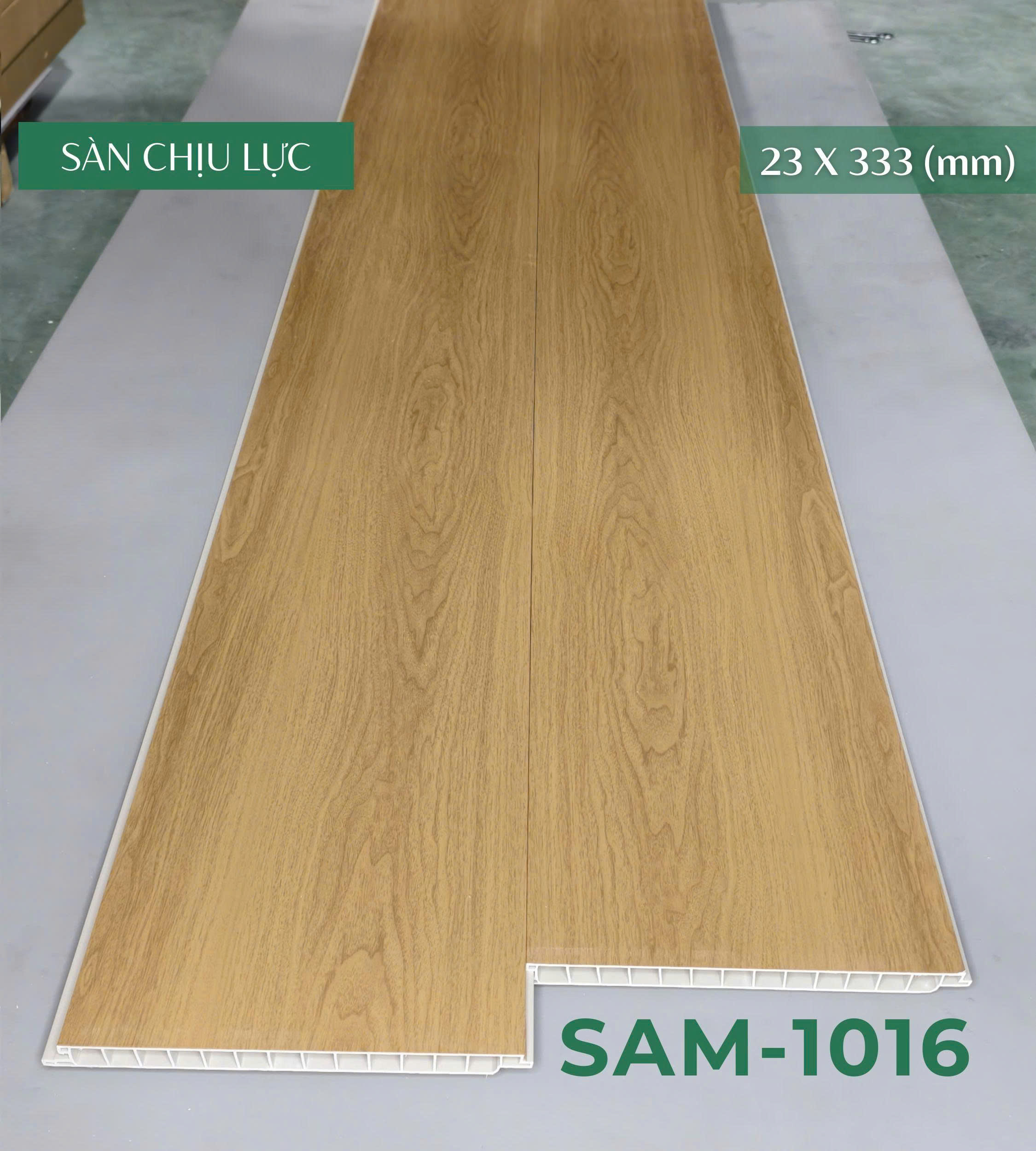 san_chiu_luc_sam_1016