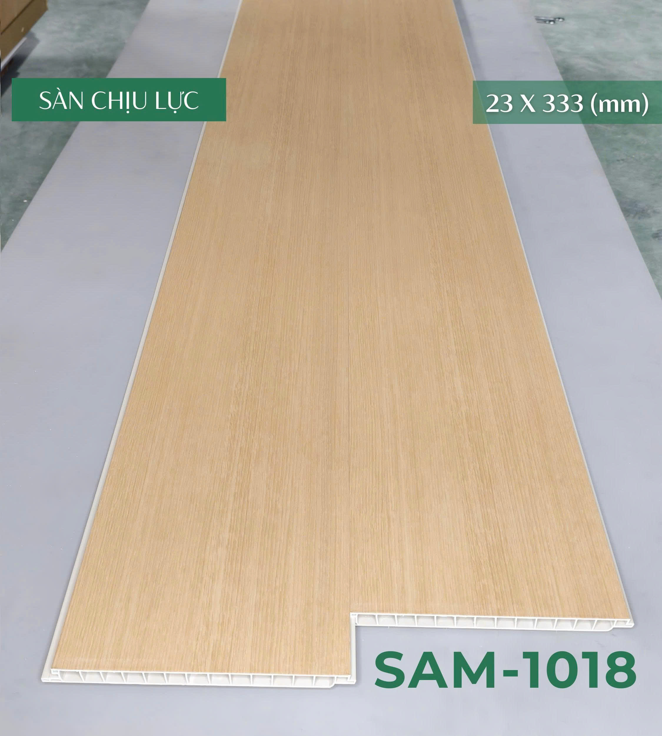 san_chiu_luc_sam_1018