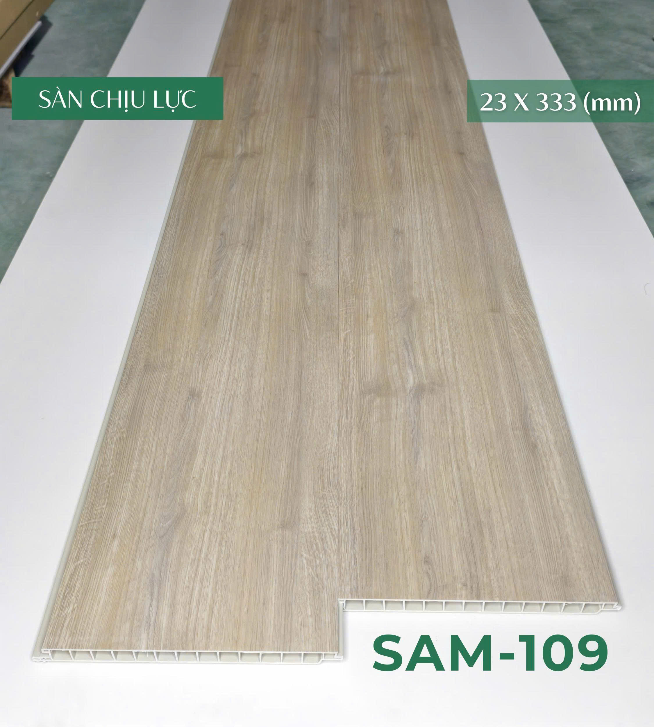 san_chiu_luc_sam_109